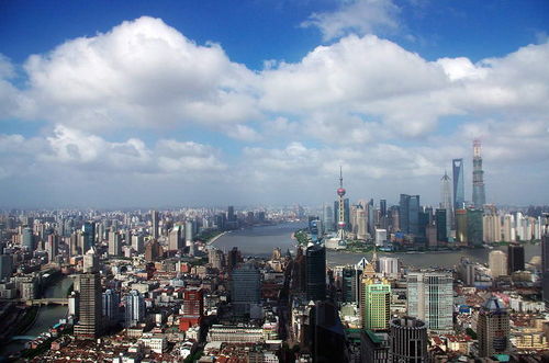 上?！毒W絡文化經營許可證》辦理全流程指南